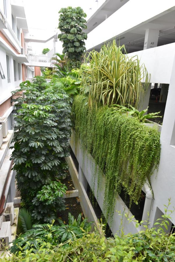 My Daily Homestay - Miri Times Square Экстерьер фото